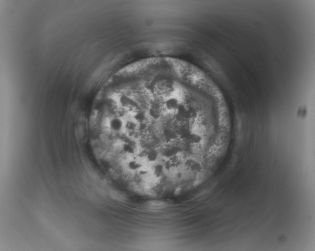 X0000113860169200910221449