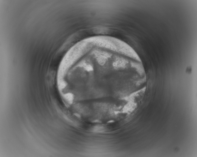 X0000113860171200910221449