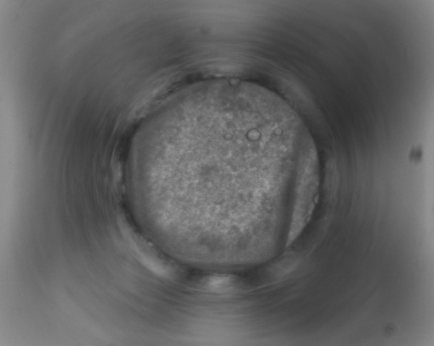 X0000113860173200910221449