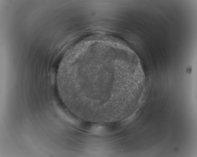 X0000113860174200910221449