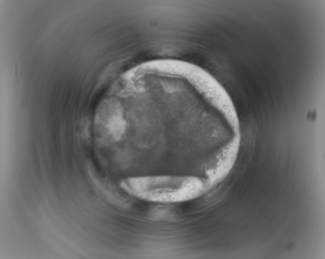 X0000113860175200910221449