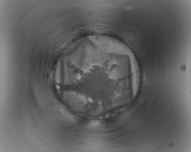 X0000113860177200910221449