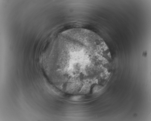 X0000113860178200910221449