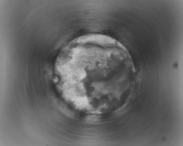 X0000113860179200910221449