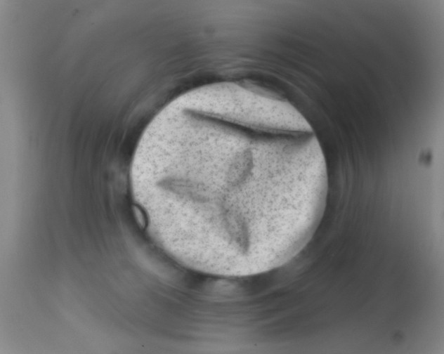 X0000113860180200910221449