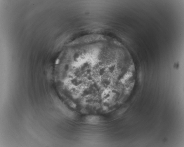 X0000113860181200910221449