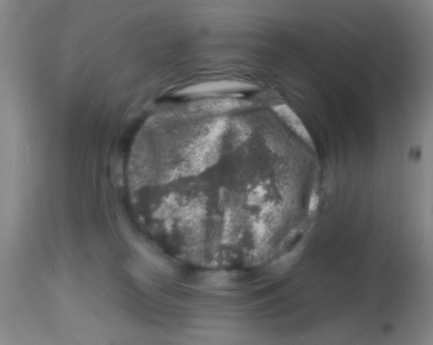 X0000113860182200910221449