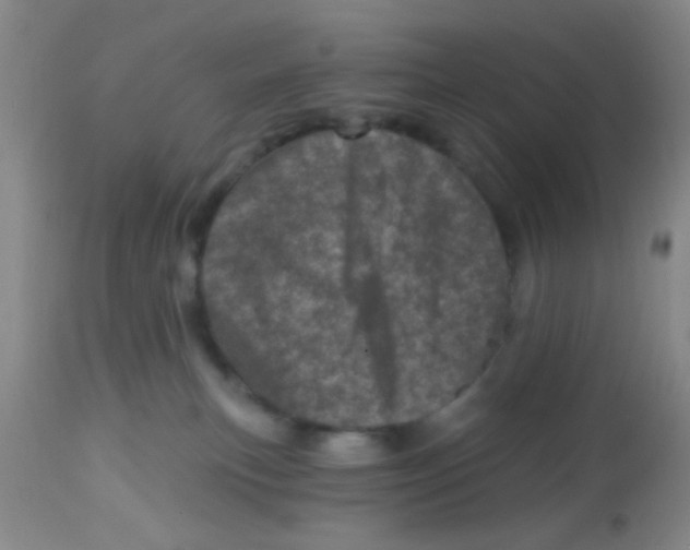 X0000113860183200910221449