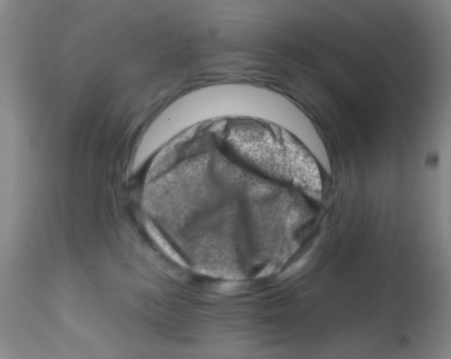 X0000113860184200910221449
