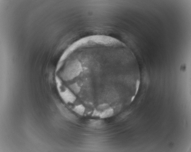 X0000113860185200910221449