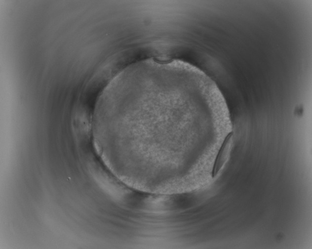 X0000113860186200910221449