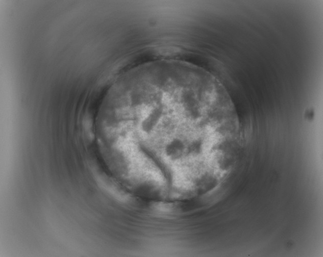 X0000113860187200910221449