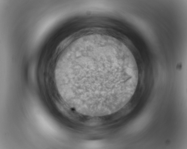 X0000113860189200910221449