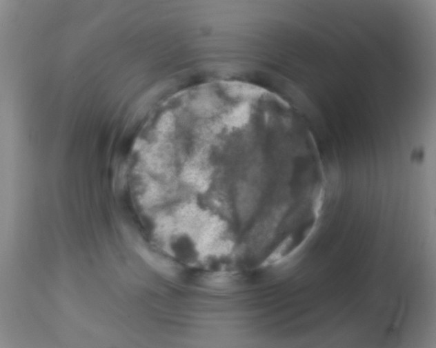X0000113860191200910221449