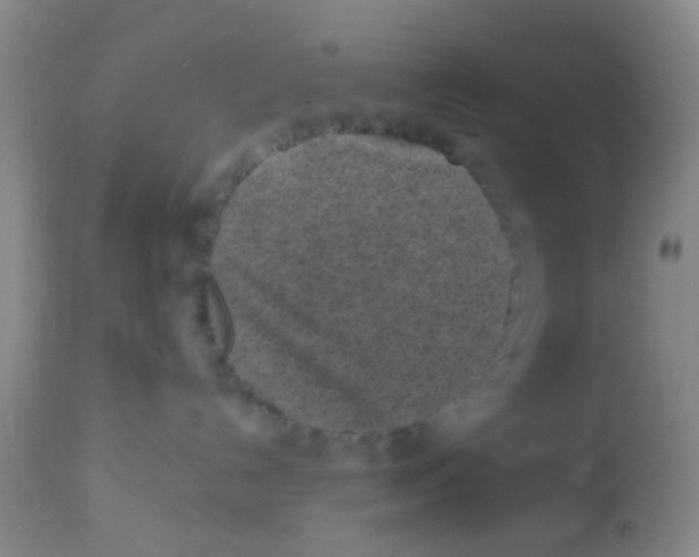 X0000113860192200910221449