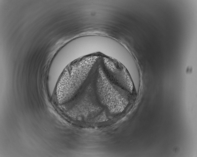 X0000113860193200910221448