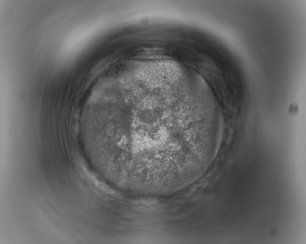 X0000113860194200910221448