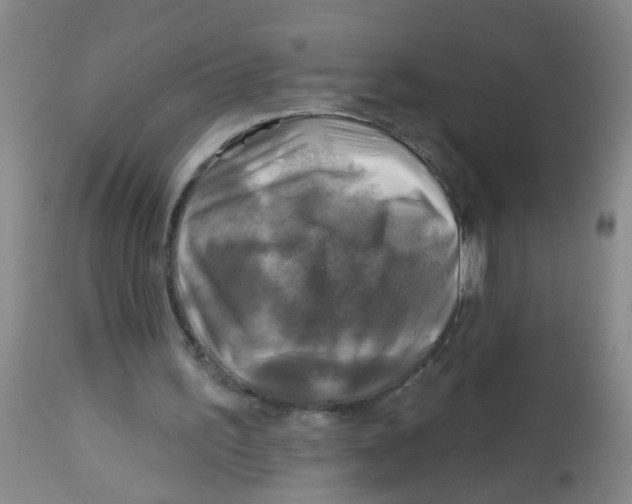 X0000113860195200910221448