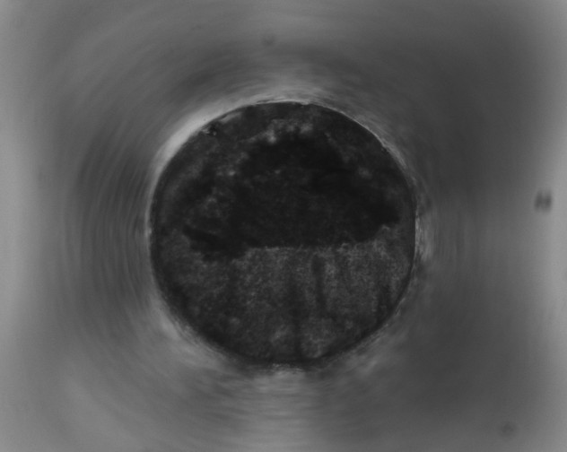 X0000113860196200910221448