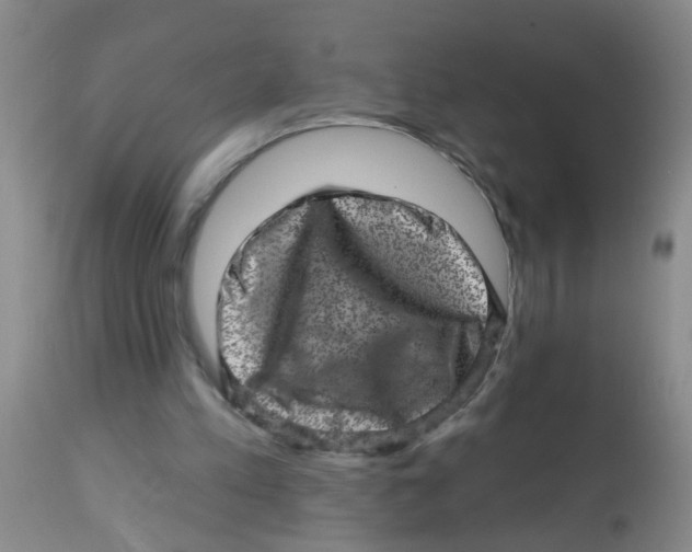 X0000113860197200910221448