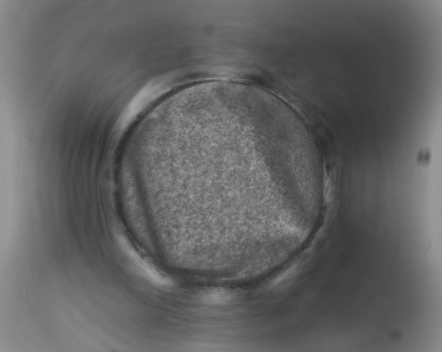 X0000113860198200910221448