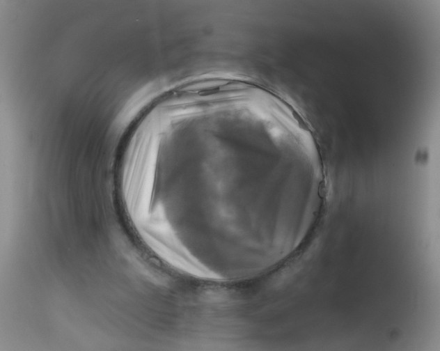 X0000113860199200910221448