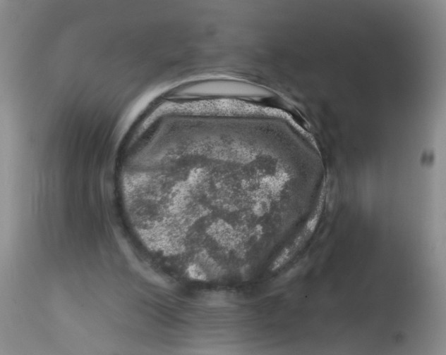 X0000113860200200910221448