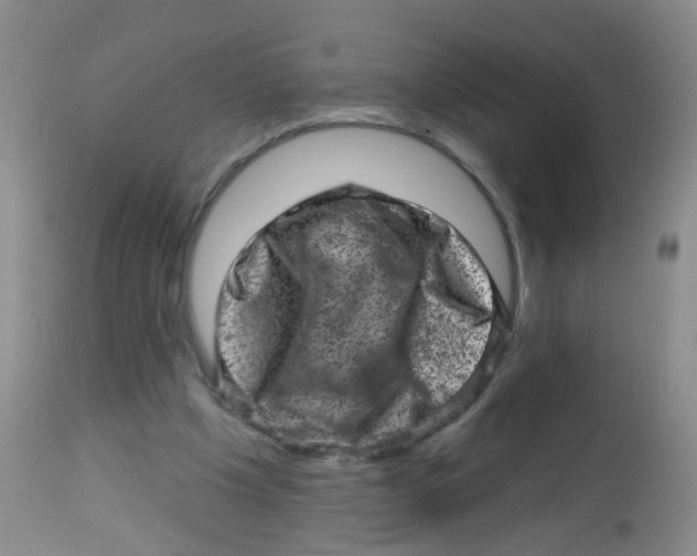 X0000113860201200910221448