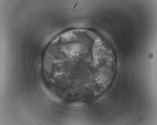 X0000113860202200910221448