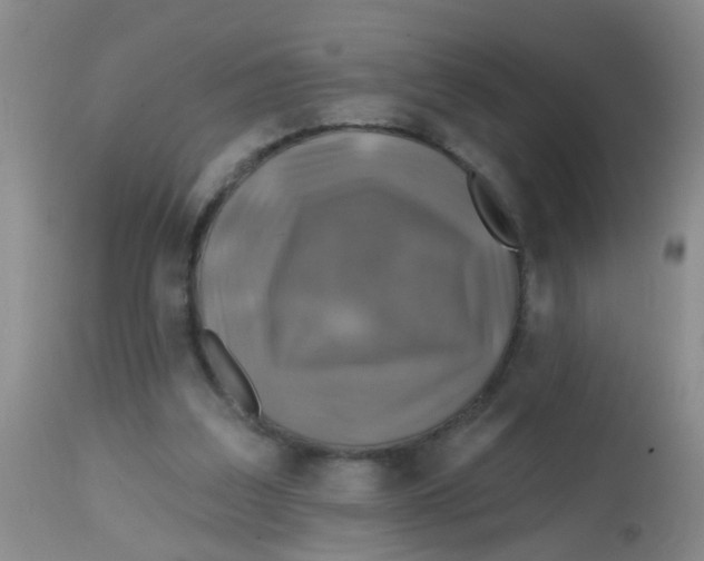 X0000113860203200910221448
