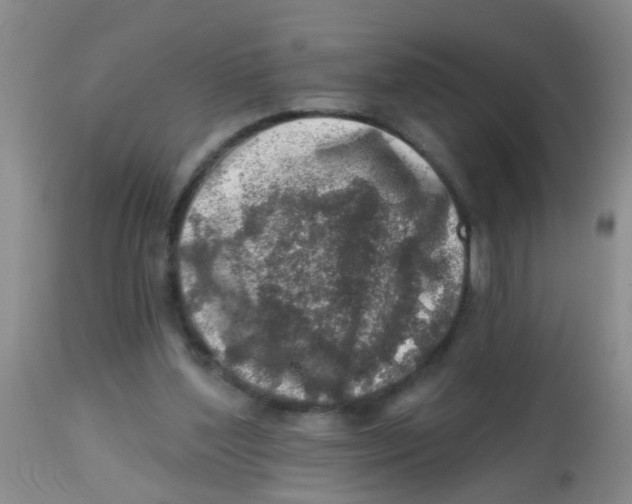 X0000113860204200910221448
