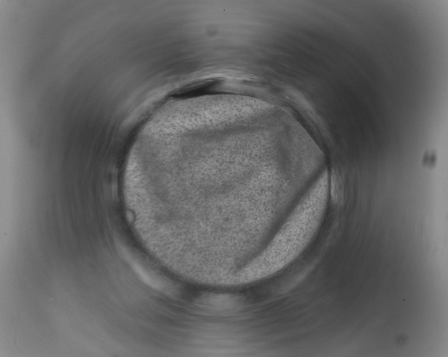 X0000113860205200910221448
