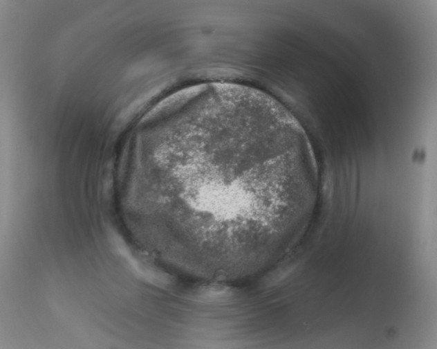 X0000113860206200910221448