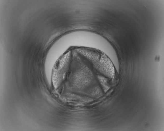 X0000113860207200910221448