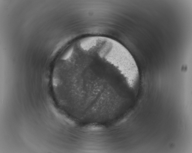 X0000113860208200910221448