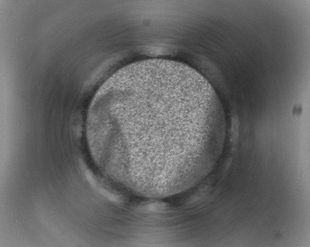 X0000113860210200910221448