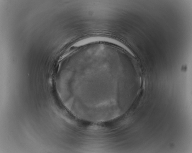 X0000113860211200910221448