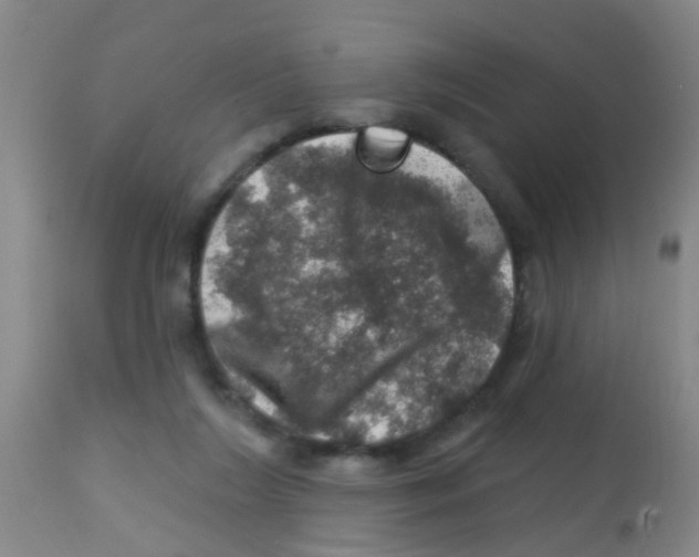 X0000113860212200910221448