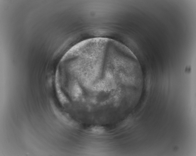 X0000113860214200910221448