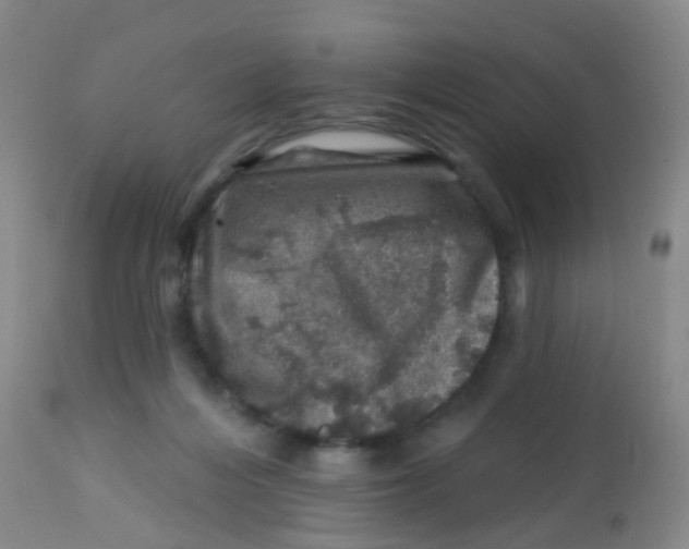 X0000113860216200910221448
