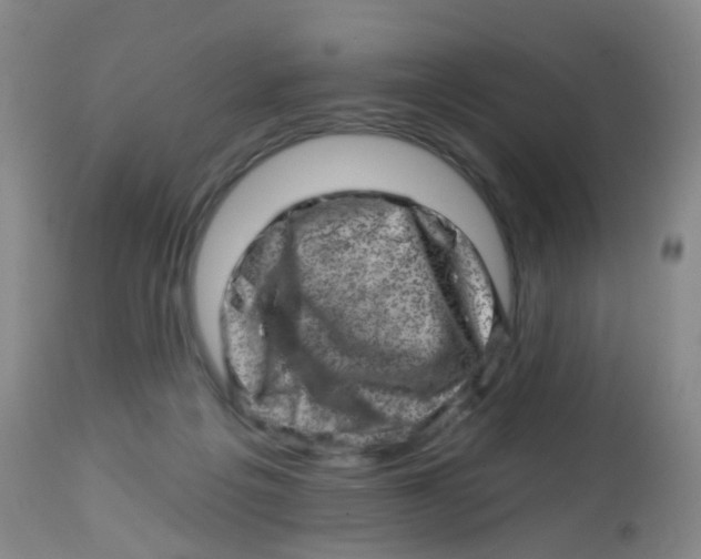 X0000113860217200910221448