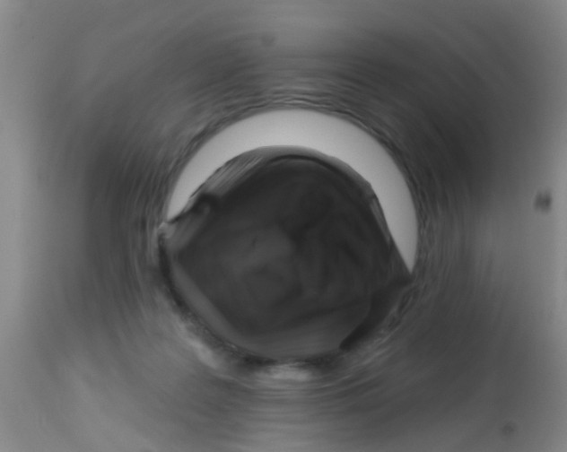 X0000113860219200910221448