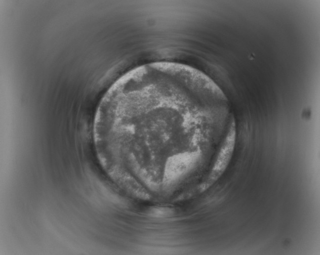 X0000113860220200910221448