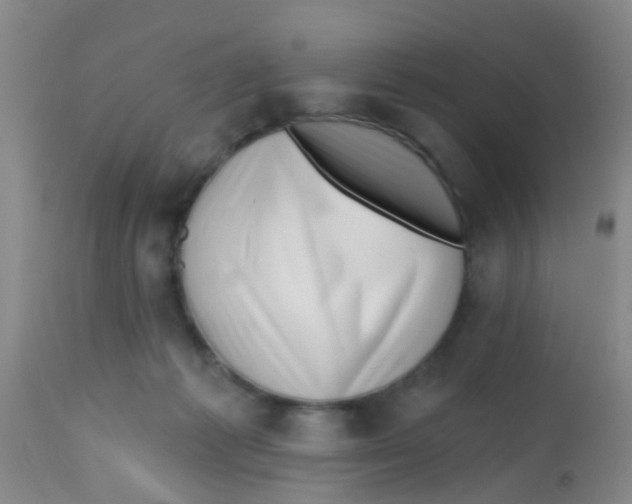 X0000113860221200910221448