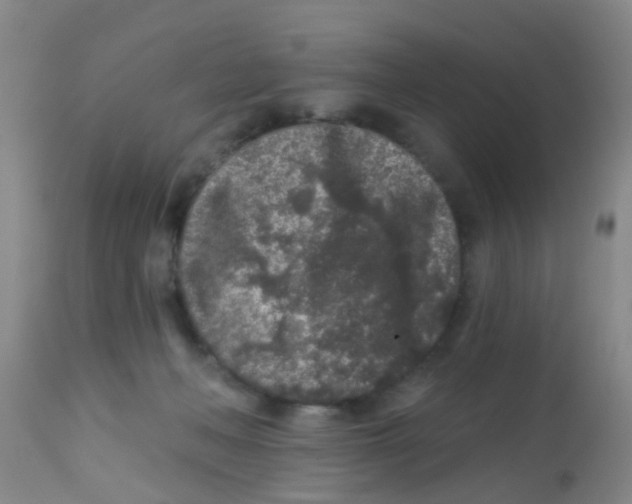 X0000113860222200910221448