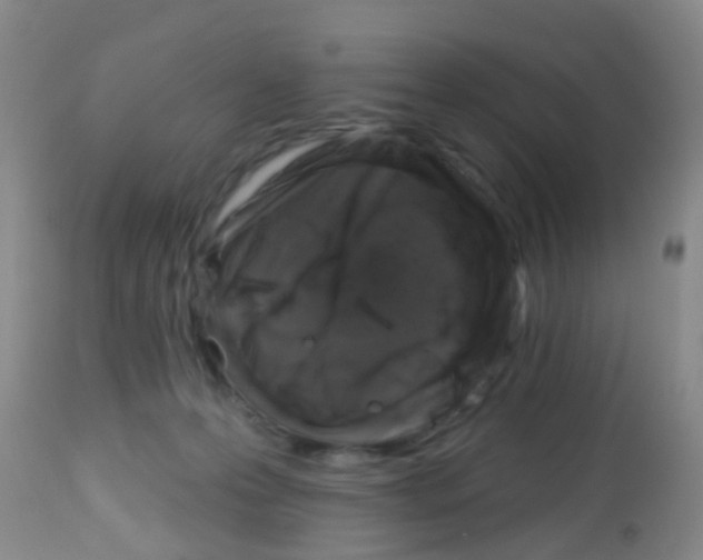 X0000113860223200910221448