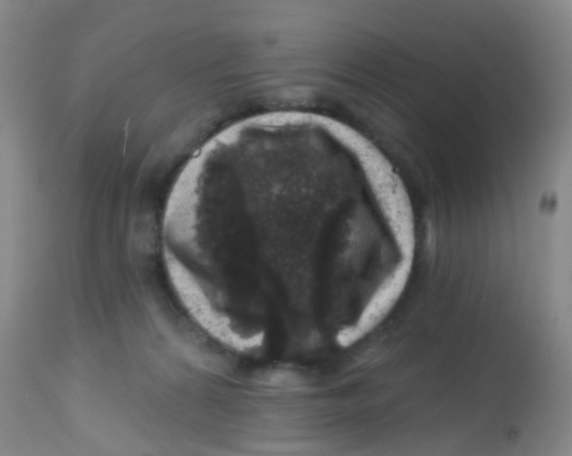 X0000113860224200910221448