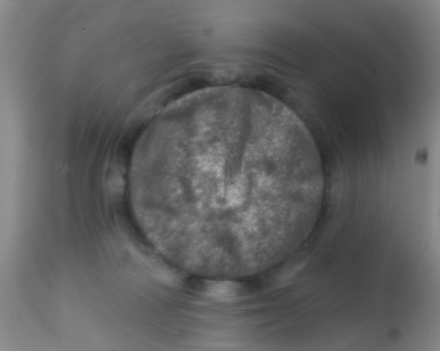 X0000113860226200910221448