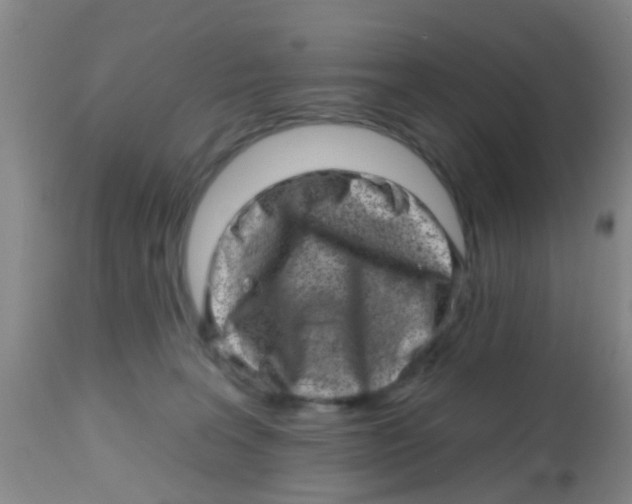 X0000113860227200910221448