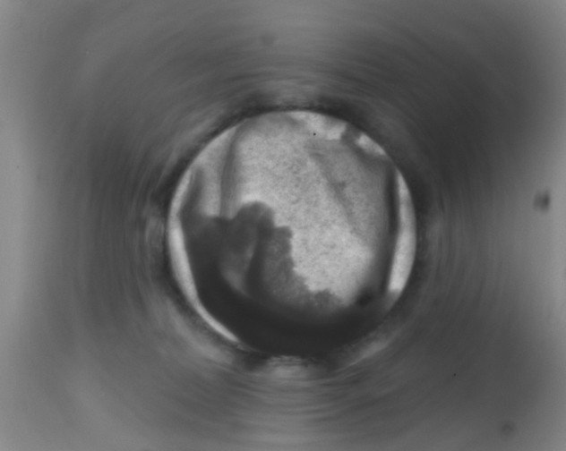X0000113860228200910221448
